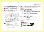 接点者出現状況の把握